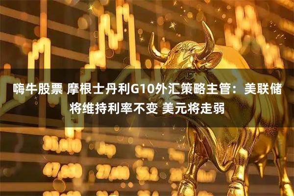 嗨牛股票 摩根士丹利G10外汇策略主管：美联储将维持利率不变 美元将走弱